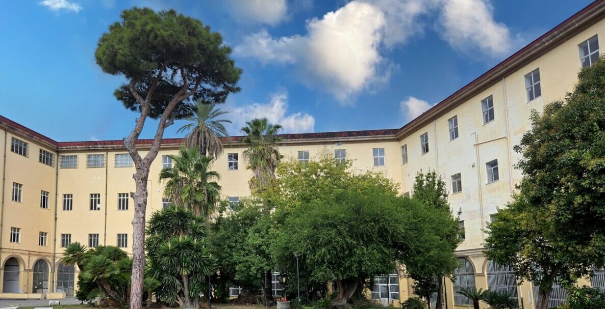 Liceo Caselli-Palizzi: 3 curiosità da sapere
