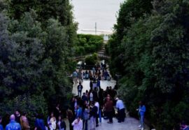 Drop a Flora Central: l’opening della stagione degli aperitivi in Floridiana