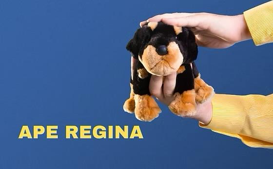 Locandina dello spettacolo "Ape regina - una giornata per Molly Bloom"