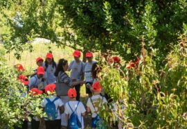 Al Parco Minopoli, i bambini della scuola primaria dell’Istituto Comprensivo Cuoco-Schipa di Napoli chiedono il completamento del progetto del parco