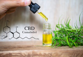 Cannabis light, olio CBD e hash legale: le distinzioni che contano davvero