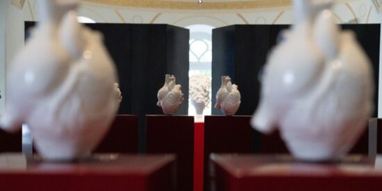 APPARATO CIRCOLATORIO Jago Museum Capri