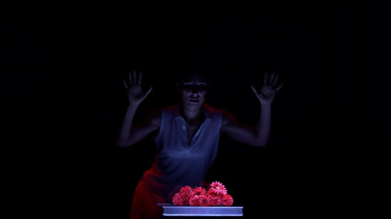 La signorina Else di Arthur Schnitzler (Teatro Nuovo) | CTF