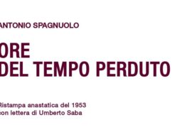 Ore del tempo perduto di Antonio Spagnuolo | Recensione
