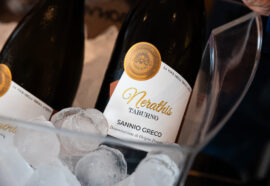 Agri Solaris e Casa Infante: i nuovi vini del Sannio