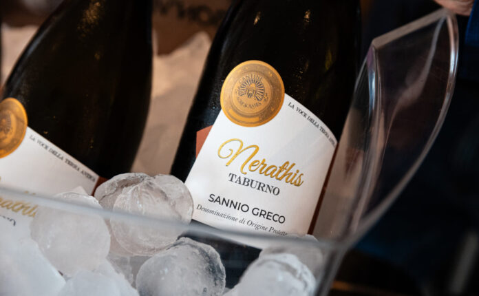 Agri Solaris e Casa Infante: i nuovi vini del Sannio
