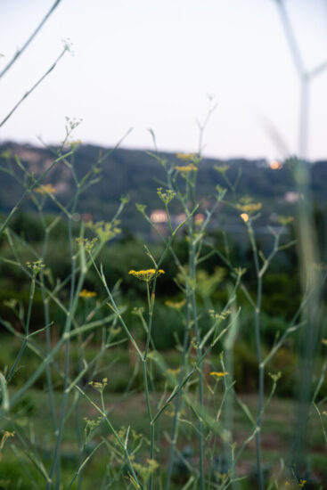 L'AgriBar è immerso nel verde