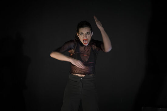 Roma fringe festival 2026