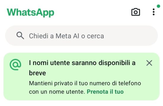 Schermata dell'applicazione per la scelta dell'username di WhatsApp